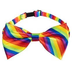 Accessoire setje regenboog pride