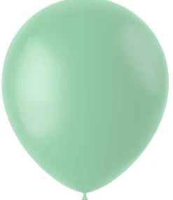 Ballonnen matte kleuren - biologisch afbreekbaar