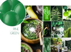 Ballonnen matte kleuren - biologisch afbreekbaar
