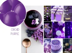 Ballonnen matte kleuren - biologisch afbreekbaar