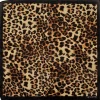 Bandana Panterprint