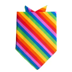 Bandana Regenboog