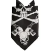 Bandana Skull