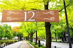 Banier 12,5 Jubileum 180x40cm