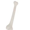 Bot Holbewoner 32cm