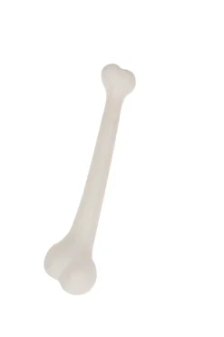 Bot Holbewoner 32cm