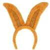 Diadeem Paashaas