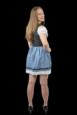 Dirndl Rock Elsa