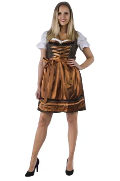 Dirndl Steampunk koper