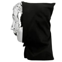 Gezichtsmasker Onbekend met kap