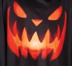 Halloween poncho pompoen kinderen