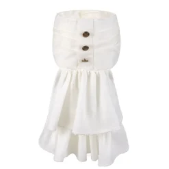 Jabot Steampunk