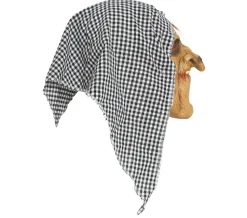 Latex masker heks met kap