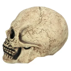 Latex masker Skull