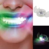 LED Bitje Multicolor