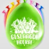 Party Ballonnen Hoera Geslaagd