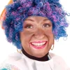 Pruik Piet kroes verstelbare kap regenboog