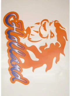 Raamsticker Holland 35x55cm