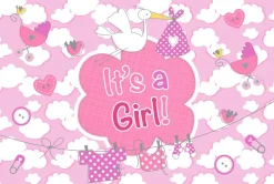 Raamvlag It's a boy - girl 60x90 cm