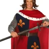 Ridderzwaard met schede