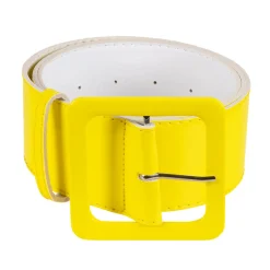 Riem disco
