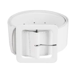 Riem disco