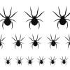 Setje Spinnen Tattoos 2x16st