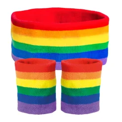 Set zweetbandjes regenboog