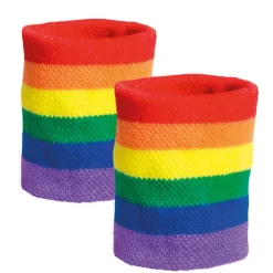 Set zweetbandjes regenboog