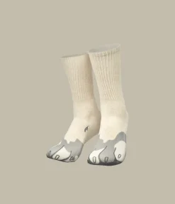 Silly socks - Hond