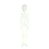 Skelet deco Glow in the dark 75cm