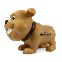 Spaarpot Hond Geslaagd