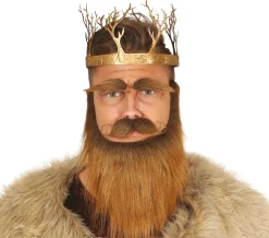 Viking koning kroon