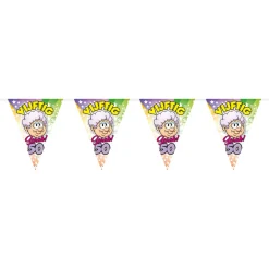 Vlaggenlijn Sarah Regenboog 10m