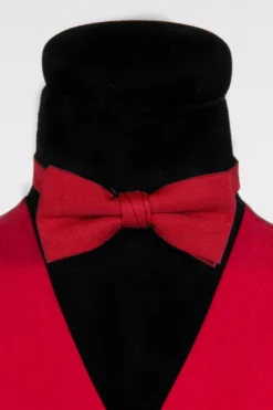 Vlinderstrik deluxe