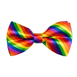 Vlinderstrik regenboog