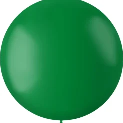 XL Ballonnen matte kleuren - biologisch afbreekbaar