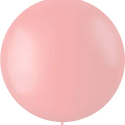 XL Ballonnen matte kleuren - biologisch afbreekbaar