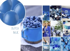 XL Ballonnen matte kleuren - biologisch afbreekbaar