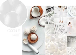 XL Ballonnen matte kleuren - biologisch afbreekbaar