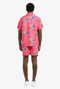 Zomersetje Dragon Ball Z