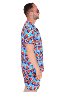 Zomersetje watermeloen ijs