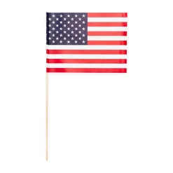 Zwaaivlaggetjes USA 10st